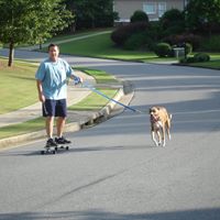 Tim Brewster Photo 26