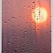 Steven Koren Photo 2