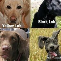 Bryan Stark Photo 28