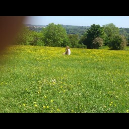 Debbie Powell Photo 28