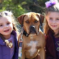 Jennifer Shapiro Photo 22