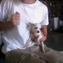 Wesley Simpson Photo 4