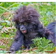 Joseph Levy Photo 17