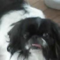 Dorothy Tracy Photo 26