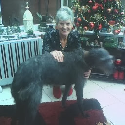 Pamela Groves Photo 20