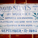 David Sink Photo 8