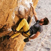 Steve Rollins Photo 10