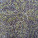 Traci Small Photo 14