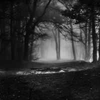 Janet Womack Photo 20