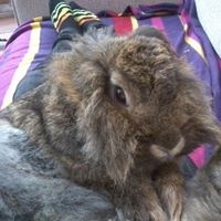 Rosalind Robinson Photo 14