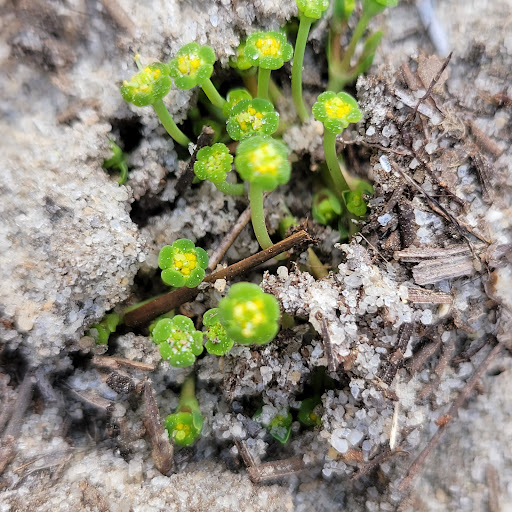 Michelle Fredrickson Photo 1