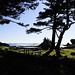 Judy Holland Photo 13