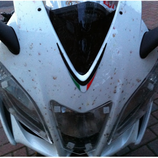 Paul Clements Photo 21