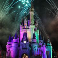 Neil Kramer Photo 26