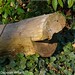 Deborah Wood Photo 15
