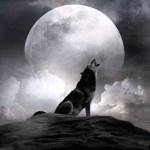 Joshua Rasmussen Photo 20