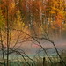 Allen Wieder Photo 8