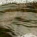 Jesse Nagle Photo 14
