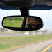 Kathy Driver Photo 27