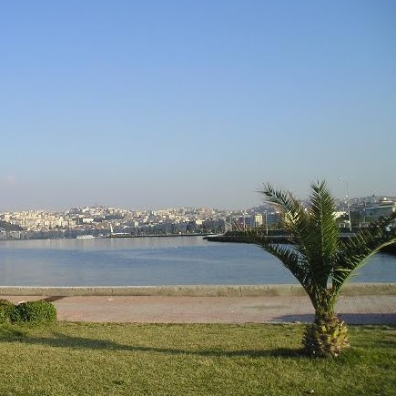 Jeffrey Collins Photo 16 Jeffrey Collins Photo 16