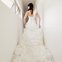 Stacey Fine Photo 22