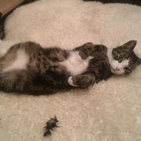 Andrea Horn Photo 36