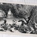 William Hudson Photo 21