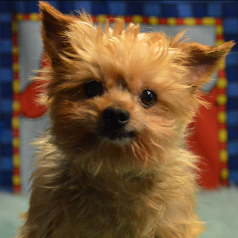 Richard Ruth Photo 14