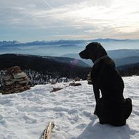 Kathleen Carmody Photo 8