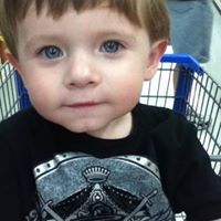 Vicki Harris Photo 26 Vicki Harris Photo 26