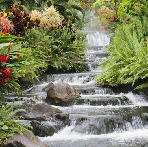 Kristen Blake Photo 28 Kristen Blake Photo 28