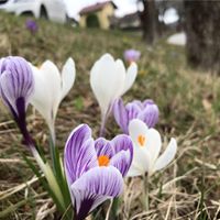 David Ziegler Photo 27 David Ziegler Photo 27