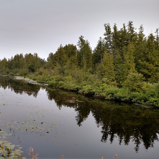 Laura Reeves Photo 26