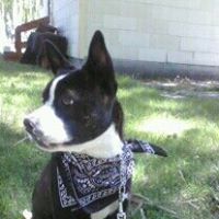 Ginger Markham Photo 3