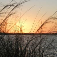 Mike Passmore Photo 5