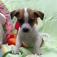 Susan Coppin Photo 5