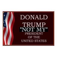 William Quintana Photo 29