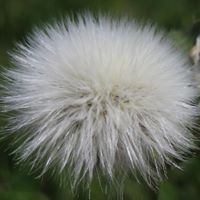 Elizabeth Rust Photo 18