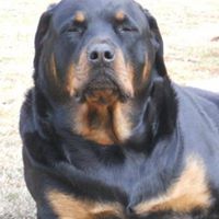 Susanne Stephens Photo 5 Susanne Stephens Photo 5