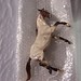 Elizabeth Fraley Photo 10