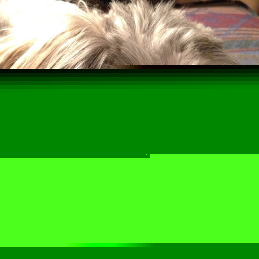 Janet Glover Photo 17