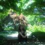 Laura Hubbell Photo 5