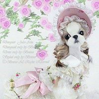 Julie Ahn Photo 10