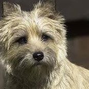 Meredith Leatherman Photo 2