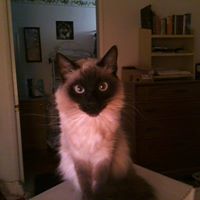 Elizabeth Winn Photo 20