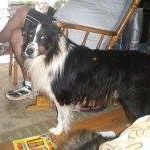 Joyce Houser Photo 20