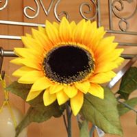 Joann Baer Photo 13