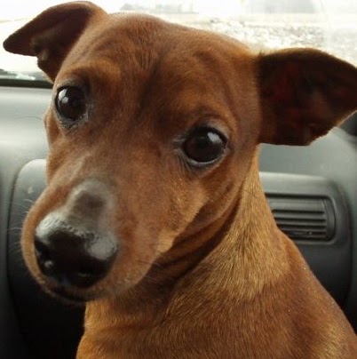 Carl Swenson Photo 7