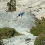 Paul Adams Photo 6