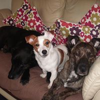 John Fallon Photo 13 John Fallon Photo 13